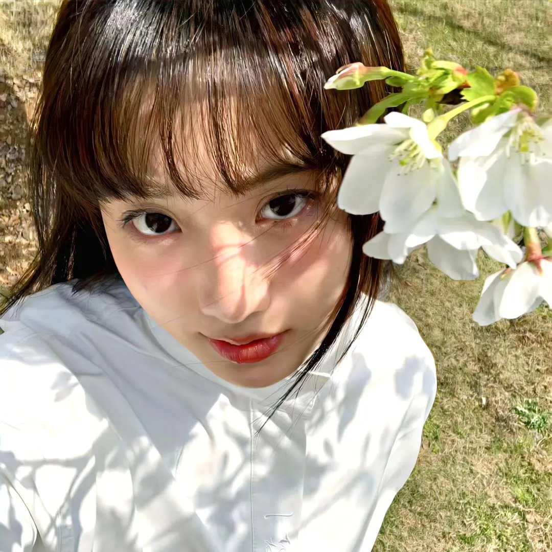 反对夫人哈德利之战